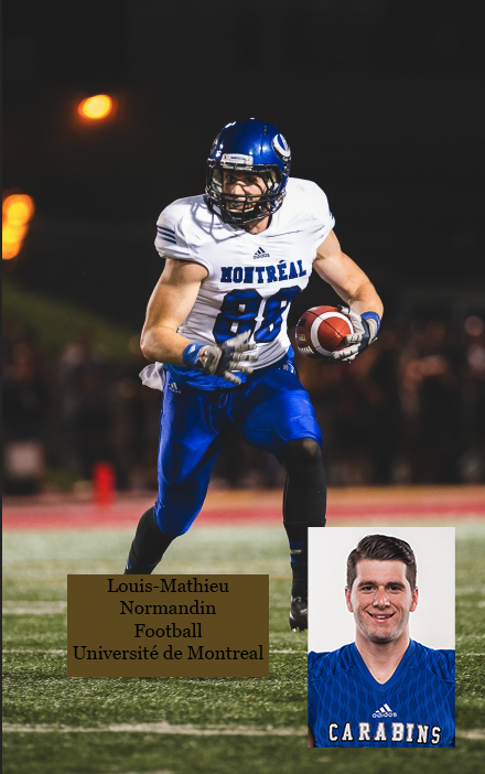 Louis-Mathieu Normandin
